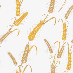 小麦纹理麦子底纹高清图片