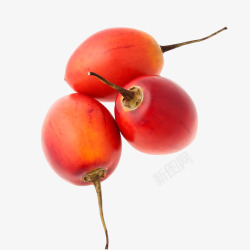 热带水果的番茄素材