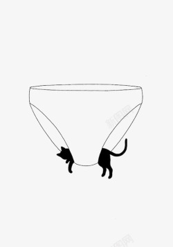胖次猫咪高清图片
