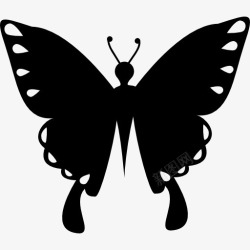 虫形蝴蝶形虫顶观图标高清图片