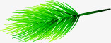 针状树叶绿色针状树叶造型高清图片