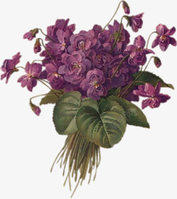 古典怀旧紫色鲜花素材