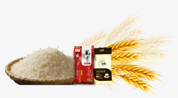 大米小麦大麦稻谷素材