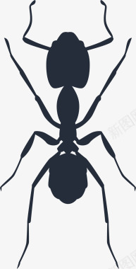 黑花生黑蓝色蚂蚁矢量图图标图标