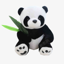 动物国宝大熊猫素材
