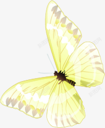 创意合成手绘飞舞的黄色蝴蝶造型png免抠素材_88icon https://88icon.com 创意 合成 蝴蝶 造型 飞舞 黄色