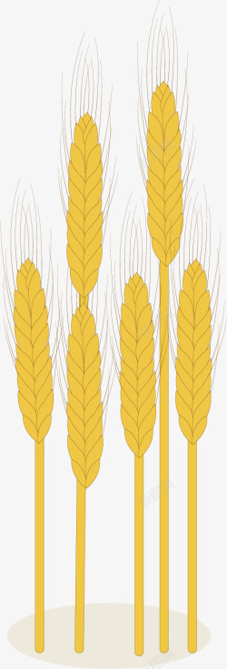 黄金色的麦穗矢量图素材