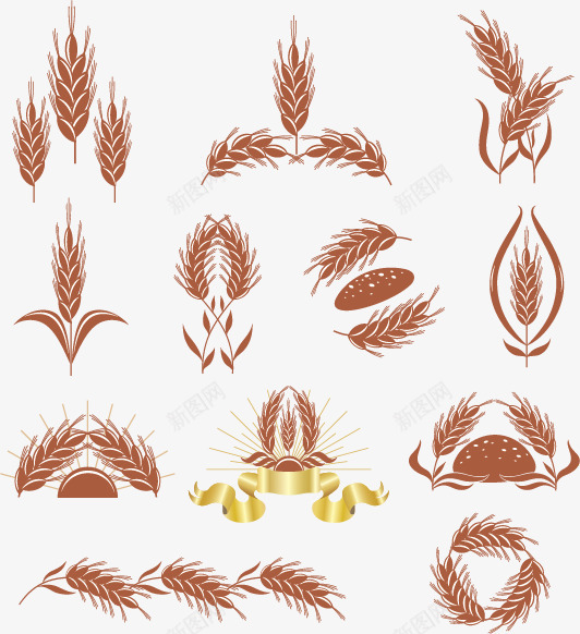 形态各异的麦穗png免抠素材_88icon https://88icon.com 丰收 农业 农作物 小麦 麦穗