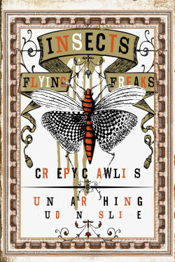 复古怀旧的英文昆虫图案素材