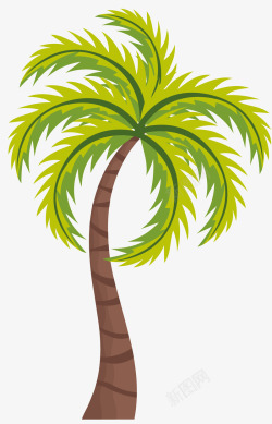 叶脉卡通风格棕榈树素材