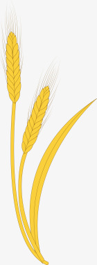 小麦麦穗手绘图图标图标