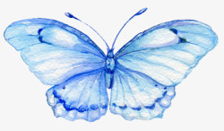 蓝色手绘的漂亮蝴蝶素材