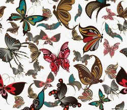各式蝴蝶装饰背景素材