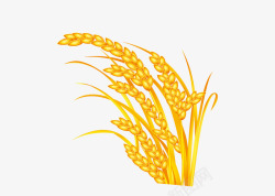 金黄粮食小麦素材