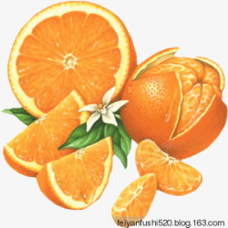 黄色橘子桔子橙子素材