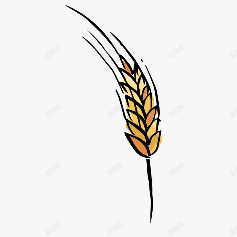 手绘小麦穗png免抠素材_88icon https://88icon.com 小麦 手绘 麦穗 麦穗矢量