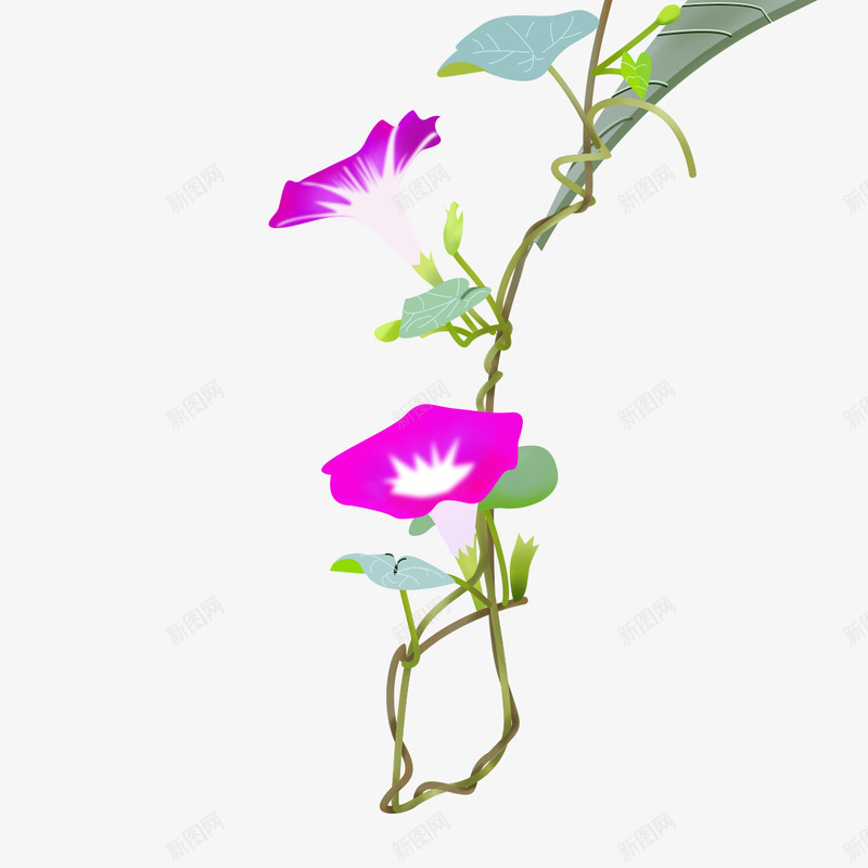 手绘紫色的喇叭花png免抠素材_88icon https://88icon.com 创意 卡通手绘 叶子 喇叭花 水彩 紫色 绿叶 花朵 鲜花