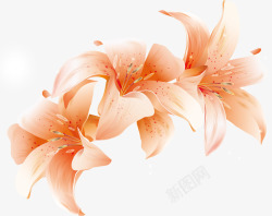 彩画百合素材水彩画百合矢量图高清图片