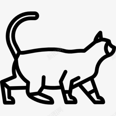 的猫暹罗猫图标图标