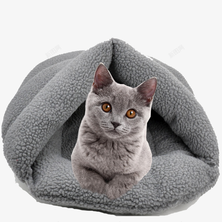 灰色宠物猫咪png免抠素材_88icon https://88icon.com 产品实物 宠物猫 灰色猫 猫 猫咪