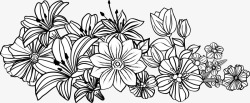 钢笔描画花卉背景素材