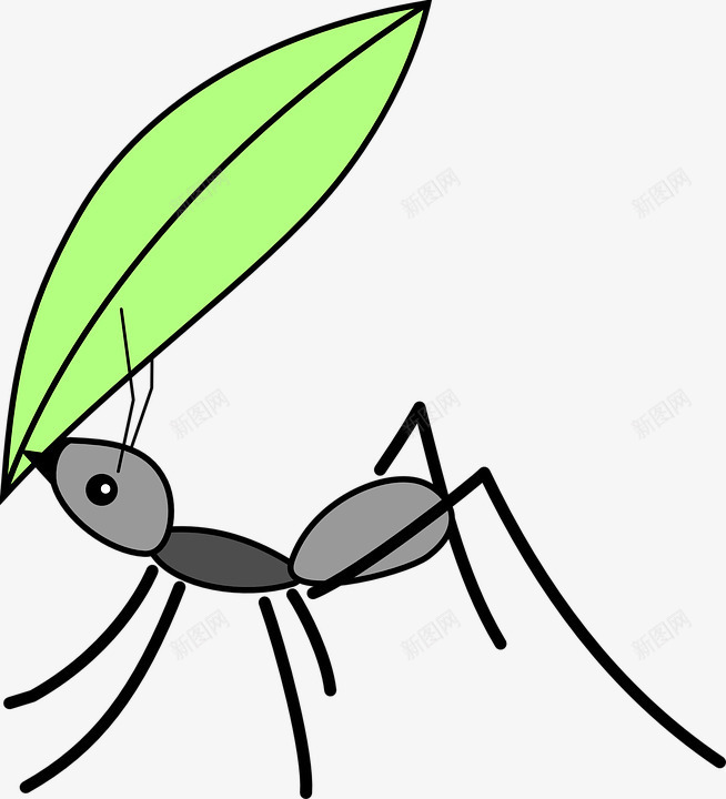 夹着竹叶的蚂蚁png免抠素材_88icon https://88icon.com 卡通蚂蚁 可爱蚂蚁 手绘 昆虫 竹叶 绿叶 蚂蚁
