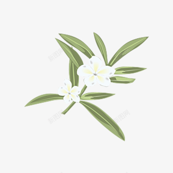 绿色叶子上的小白花png免抠素材_88icon https://88icon.com 叶子 手绘叶子 植物 绿叶 绿植 花卉 花朵