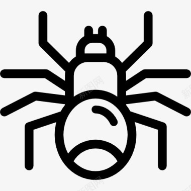 野生蜘蛛图标图标