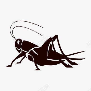 昆虫设计蟋蟀昆虫图标图标