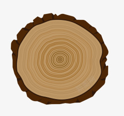 椴木木材截面年轮手绘教学素材
