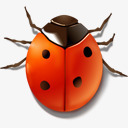 动物错误昆虫飘虫humano2png免抠素材_88icon https://88icon.com animal bug insect ladybird 动物 昆虫 错误 飘虫