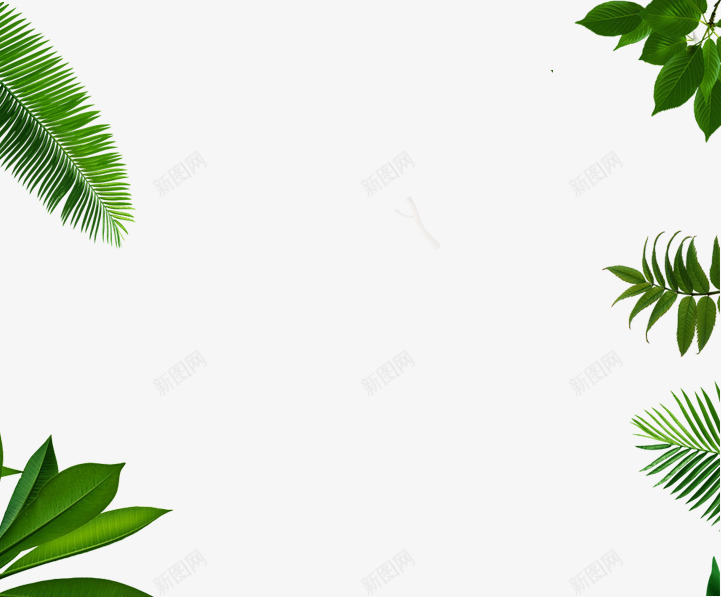 绿色植物背景png免抠素材_88icon https://88icon.com 树叶 植物背景 绿色树叶背景 绿色植物背景