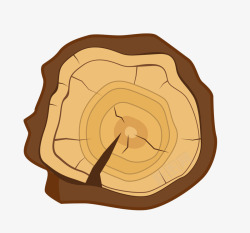 金丝楠木木材截面年轮手绘教学素材