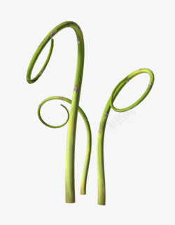 创意合成绿色的植物形状造型素材