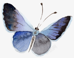 手绘水彩蓝色蝴蝶素材