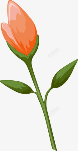 橘色花朵素材