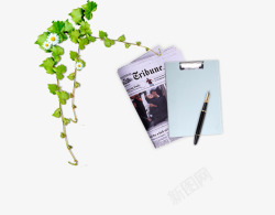 爬山虎包子钢笔素材