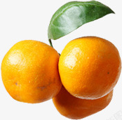 水果植物黄色橘子素材