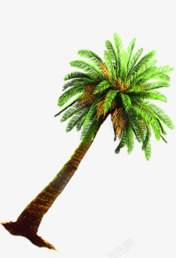 绿色椰树美景热带素材