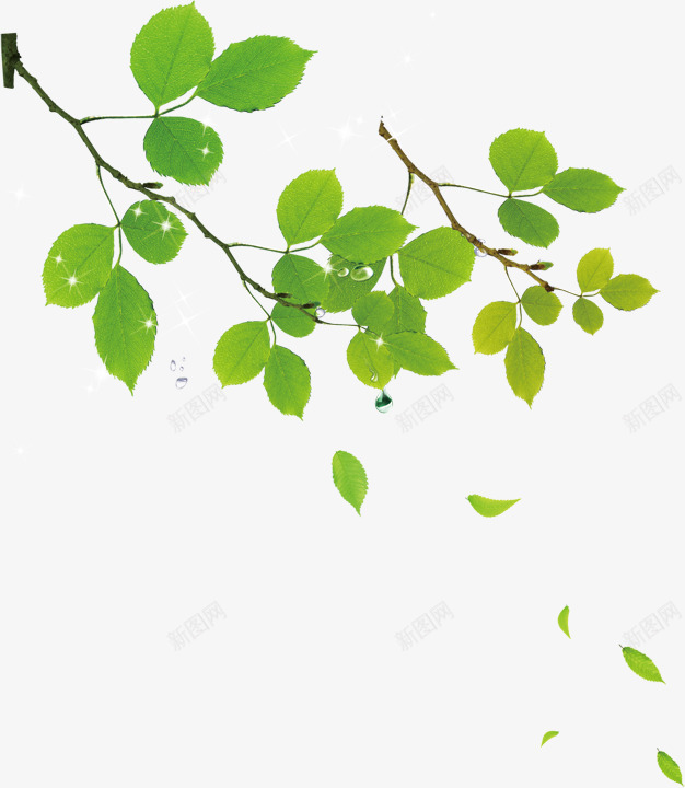 创意手绘绿色的树叶造型效果png免抠素材_88icon https://88icon.com 创意 效果 树叶 绿色 造型