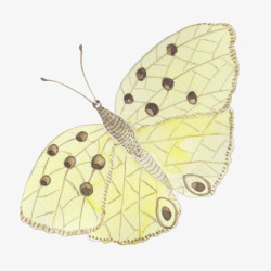 手绘水彩黄色蝴蝶图素材