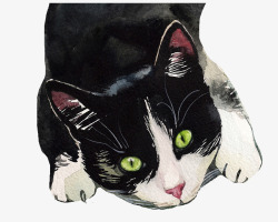 手绘水彩黑色动物猫咪素材