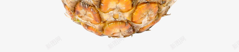 实物菠萝png免抠素材_88icon https://88icon.com 果实 水果 热带水果 菠萝 蔬菜 食物 黄色的菠萝