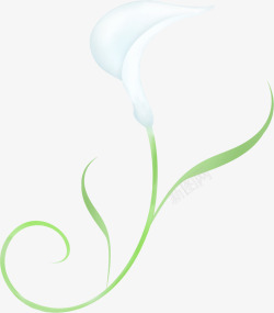白色温馨百合花朵素材