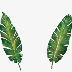 绿色的手绘海报装饰叶子素材