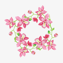 粉色百合花素材