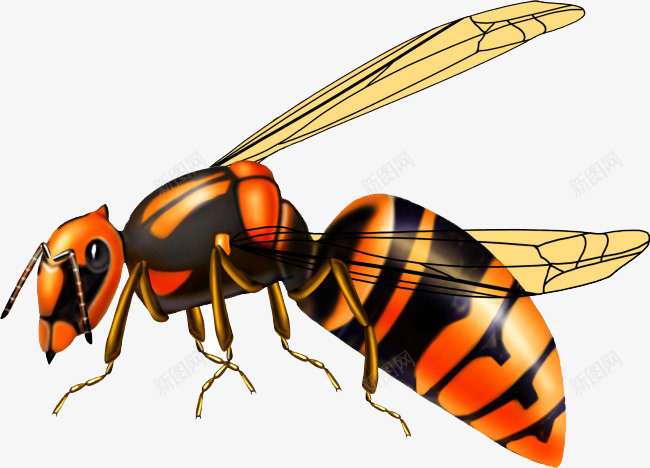 卡通手绘蜜蜂昆虫png免抠素材_88icon https://88icon.com 卡通蜜蜂 害虫 昆虫 蜜蜂