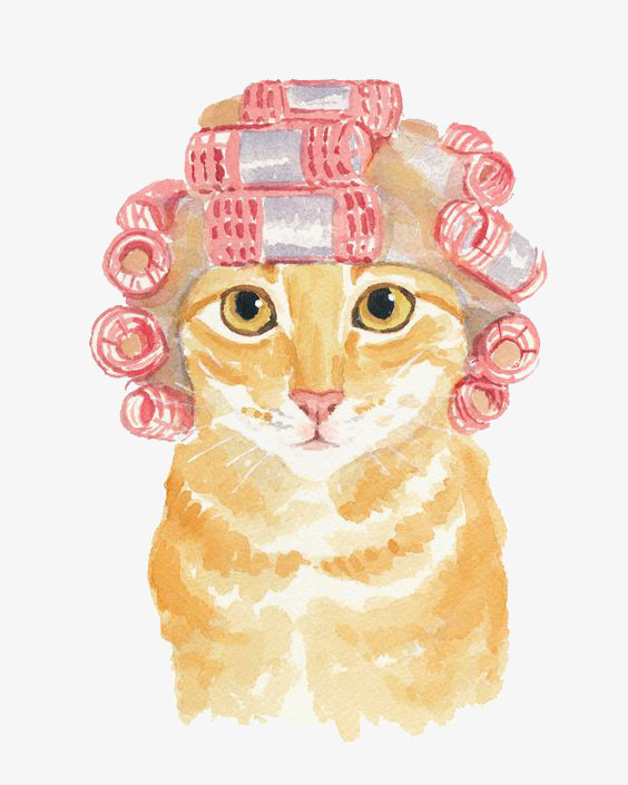 卷发猫咪png免抠素材_88icon https://88icon.com 卷发器 宠物 手绘猫咪 水彩