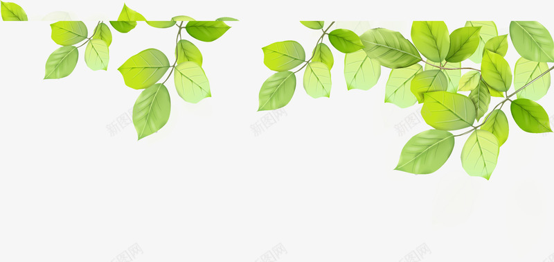 合成绿色的树叶造型手绘效果png免抠素材_88icon https://88icon.com 合成 效果 树叶 绿色 造型