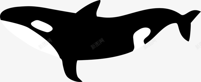 黑色大海游动鲸鱼图标图标